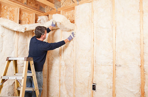 Eco-Friendly or Green Insulation Solutions